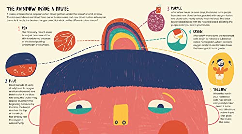 The Secret Life of Boo-Boos: The Super Science Behind How Your Body Heals Bumps, Bruises, Scratches,