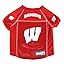 Wisconsin Badgers