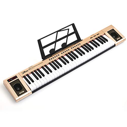 ZHRUNS Electric Keyboard 61 Keys & Sheet Music Stand-Portable Electronic Keyboard Musical Instrument with Headphone Jack & Teaching Modes,Suitable for Beginners Adults(Golden)