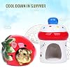 Besimple Hamster Hideout, Small Animal Hideout Ceramic Pet House, Adorable Shape Hamster House Cave Mini Hut Cage Critter Bath House for Chinchilla(Strawberry)