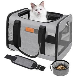 YUNIQUE Soft-Sided Cat & Dog Carrier for Pets Up to 15 Lbs, Airline Approved Collapsible Travel Puppy Carrier with Lightweight Fabric Design (Grey)