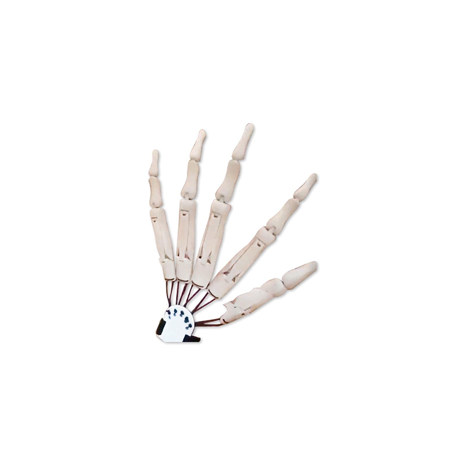 Muiltvoe Halloween Articulated Fingers,Halloween Finger,Cosplay Skeleton Hand Bone Claw Hand Gloves Fits All Finger Sizes Flexible Joint Skeleton Hands Halloween Party Cosplay Accessories