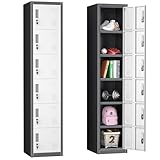 INTERGREAT Metal Locker for Employees with Lock, Steel Office Storage Locker with 6Doors, Gym Lockers Metal Cabinet for Home Office,School(Black Grey)