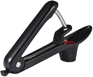 Cherry Pitter, GWCLEO Fruit Corer, Stoner with Stainless Steel Rod and Holder in Food Grade Soft Silicone, Fruit Core Remover for Cheeries, Grapes, Cranberries, Jujubes, etc.