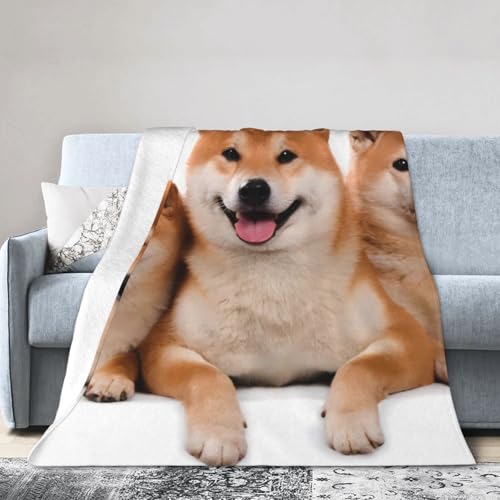 GARuPbg Č   tl GAR΍ Ђ| h G| ӂӂ 􂦂 RہEhLEh_j E  ItBX [΍ v 150×200cm