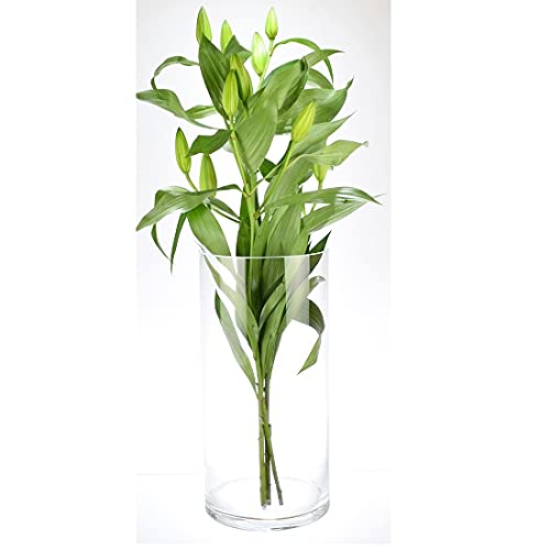 Wrzesniak Glassworks Jarrón cilíndrico grande hecho a mano, elegante, 40 cm