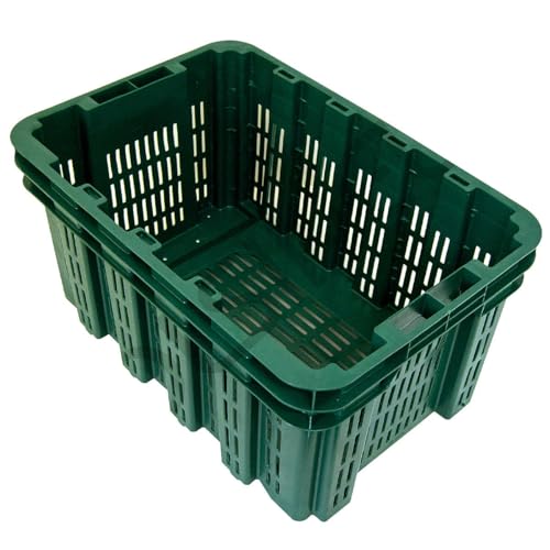 UTILFER Cassette in Plastica per raccolta Frutta e/o Olive ad Alta Resistenza. Impilabili e Sovrapponibili. Pezzi 5.