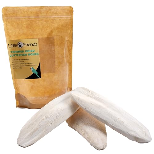Trimmed Dried Cuttlefish Bone 3pcs (205g) - Natural Calcium Source for Birds and Reptiles, White, 205 g (Pack of 1) - Image 3