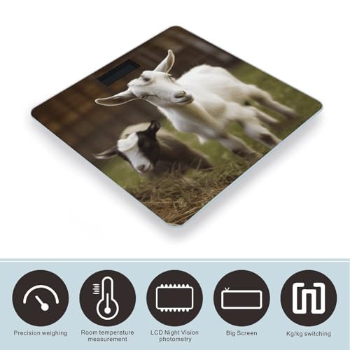 Báscula de baño digital VstaDank con vidrio templado miniatura 3