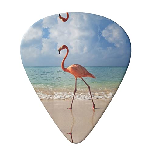 Beautiful Flamingo Lot de 6 médiators pour guitare acoustique, guitare électrique, basse, ukulélé – fins, moyens et… - Les Beatles, Paul McCartney, John Lennon, RIngo Starr, George Harrison Beautiful Flamingo Lot de 6 médiators pour guitare acoustique, guitare électrique, basse, ukulélé – fins, moyens et… – Image 4