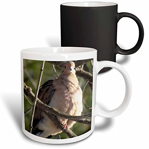 3dRose Morning Dove 11oz Magic Transforming Mug