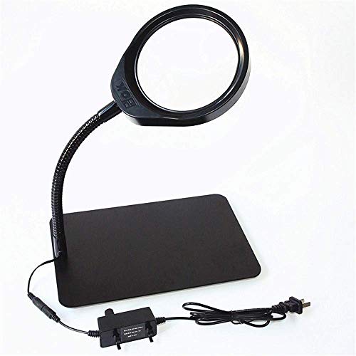 Loupe de bureau portable 3X à 10X avec éclairage pour lecture