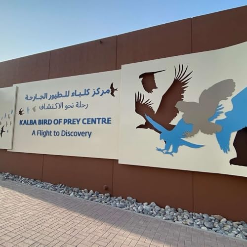 Episode 13 - Kalba Bird Of Prey Center (27.3.24)