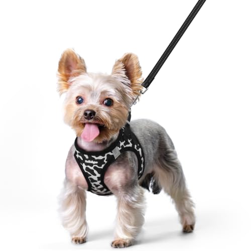 View 2