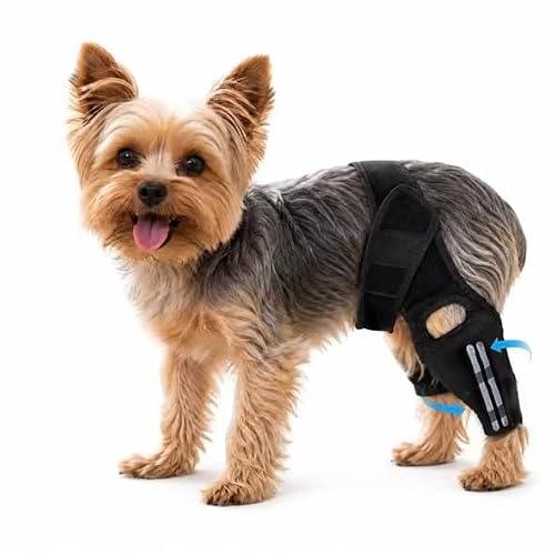 Kevrilo Dog Knee Brace for Torn ACL Hind Leg Support