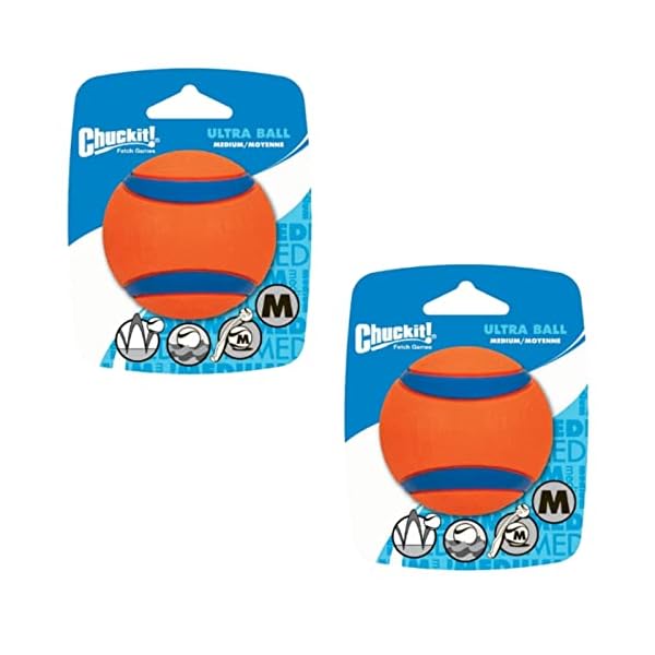 CHUCKIT Ultra Ball - Spielzeug für Hunde - Doppelpack - 2 x Gr. M 6 cm 1 Pack