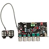 Voyoo DAM H2 Karaoke Reverberation Board - Isolierter rauscharmer Vorverstärker-Effektprozessor mit Bluetooth-USB- und Mikrofoneingang (ohne Gehäuse)