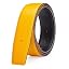 T72: Yellow / Black