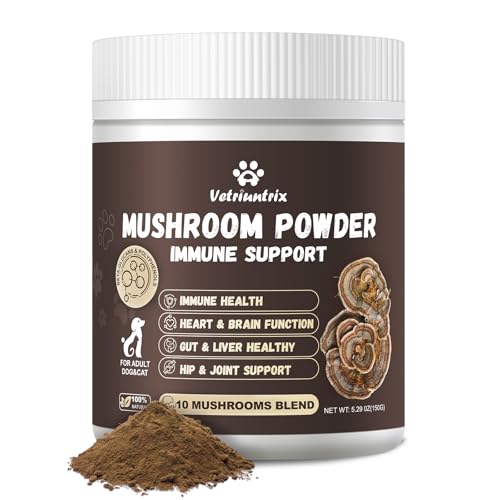 Organic 10 Mushroom Blend