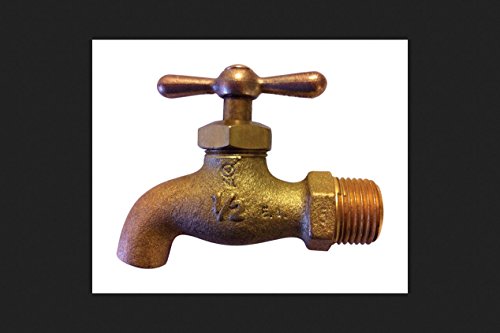 Campbell MIP Brass Ball Sampling Valve