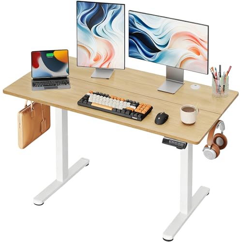 DEVAISE 48 Inch Electric Standing Desk