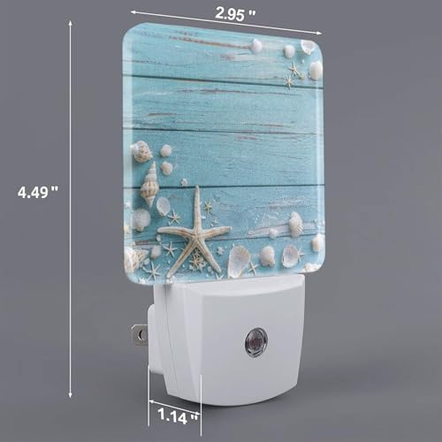 Image of Seashell Night Light Plug-in LED Lamp Set of 2, Dusk to Dawn Auto Sensor Summer Beach Board Nightlights 2 Pack