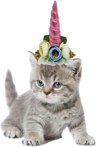 Miniatura 9 de Mipcase Disfraces de Halloween, sombreros lisos, accesorios para el cabello, sombrero de gato de Halloween, gorro de perro, diadema para mascotas,