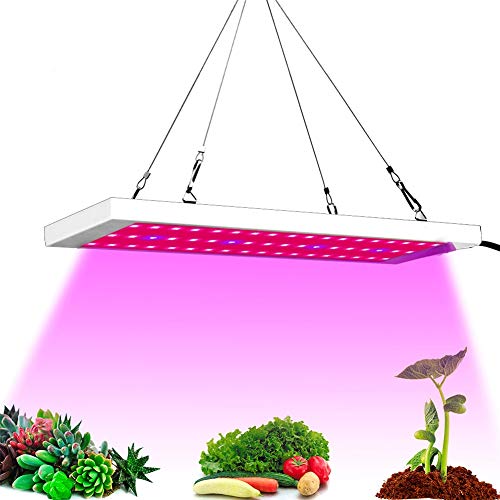 Favrison Lot de 54 lampes LED 300 W à spectre complet pour plantes d'intérieur, semis, élevage, légumes, fleurs Cover