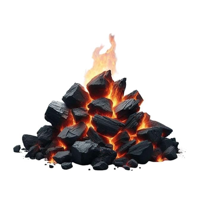 Image of Go Garden Horticultural Charcoal 450g for Orchid, Succulent, Adenium, Terrarium & Gardening | Natural Soil Filter + Long Burning Coal for Havan, BBQ, Cooking & Pooja Dhoop