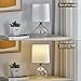 EJIAXIN Small Table Lamps Set of 2-13.5