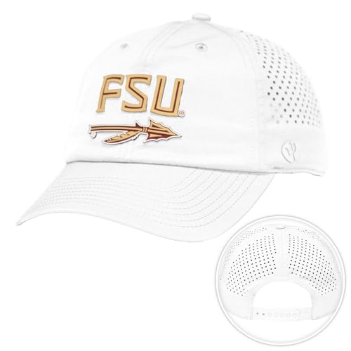 Gorra Snapback Desert Cactus Florida State University miniatura 1