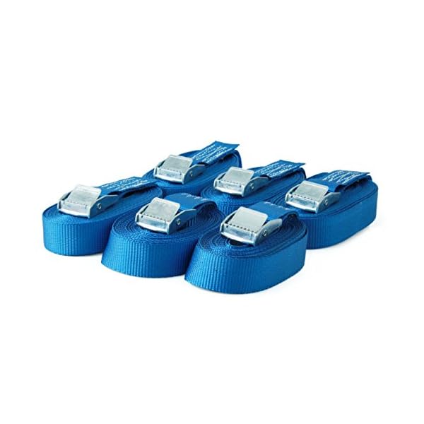 Sandax 6X Spanngurte mit Klemmschloss im Set, 6m lang, 25mm breit, blau, Zurrgurte mit Klemmverschluss kurz, belastbar bis 250kg, DIN EN 12195-2, Einteilige Befestigungsgurte Klemmschlossgurte