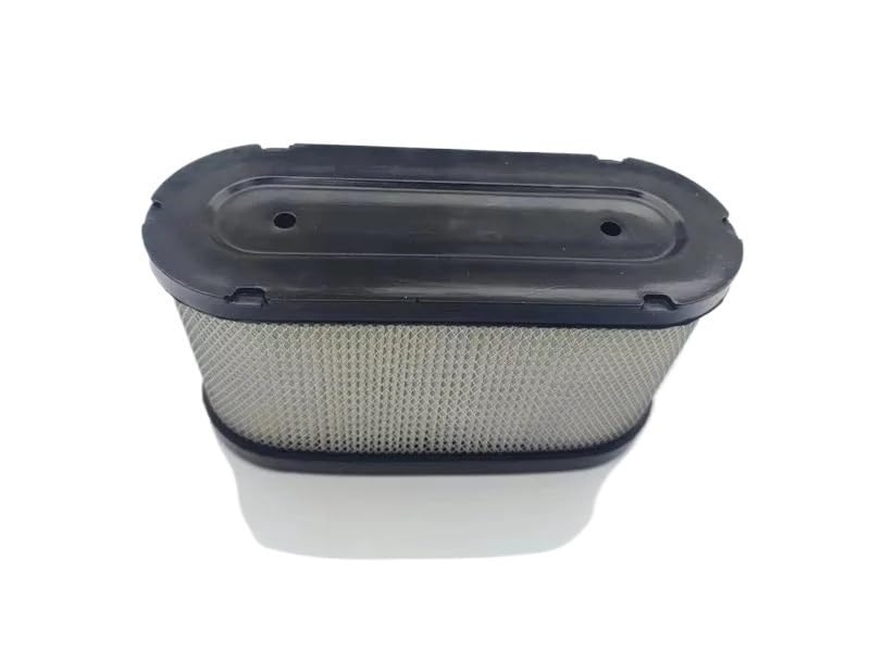 Filtro Aria Compatibile con Loncin 1P92F 452CC Motore