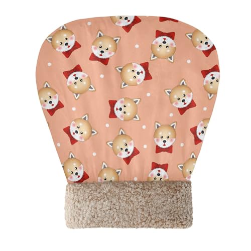 SUKAU LpQ ~  Lxbh ybgxbh 􂦂 ۉ y LnEX ybgpi p xe