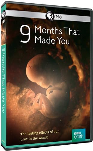 9 Months That Made You