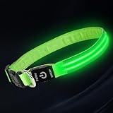 PetIsay Dog Light up Collar for Night Walking - High Visibility LED Dog Collar - Rechargeable - Waterproof - Reflective - Adjustable Lighted Glow Collars(Green, Medium)
