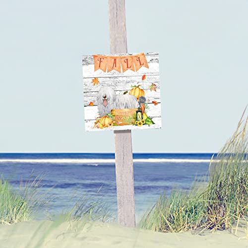 Plaque murale en bois Fall Pumpkins décorative pour maison 30,5 cm