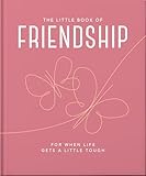 the little book of friendship: for when life gets a little tough