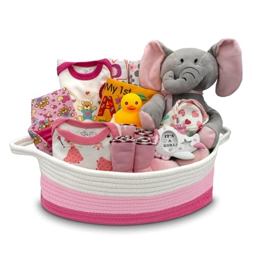 Nikki's Gift Baskets Bebê-Meninas Cestas de Presente Nikki'S - Pacote de Alegria Conjunto de Presente para Bebês de Luxo com Itens Essenciais para Recém-Nascidos de 20 Peças, Kit de Cesta de Presente para Bebês Médios para Mães Grávidas, Rosa