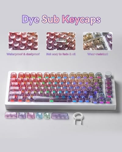 Image of Purple Gradient Clear Keycaps, 125 Keys MOA Profile Transparent Keyboard keycaps, Shine Through Key caps, Compatible with 60%, 65%, 75%, 96%, Full-Sized Layout Mx Switches Mechanical Keyboard