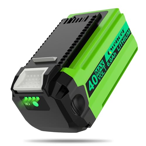 Qwenoer 40V 6.0Ah Upgrade BMS Battery