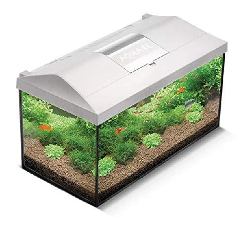 Aquael Acquario Leddy 60 Bianco Equipaggiato 60x30x30cm 54l per Acquariofilia