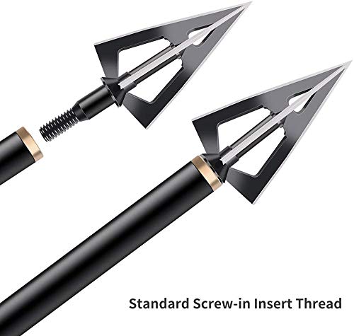 12 Pointes De Flèche Broadhead 100 Grains – Tir à L'arc, Cible, Or, Universelles, Neuves