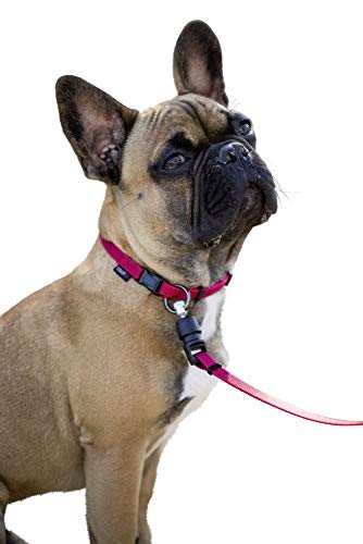 GOLEYGO Hundeleine Flat, Rot, Größe M 1,4-2m, Sicherer Magnetverschluss, Inkl. Adapter-Pin, Hundeleine für kleine & große Hunde bis 60kg, Maximale Belastung 200kg