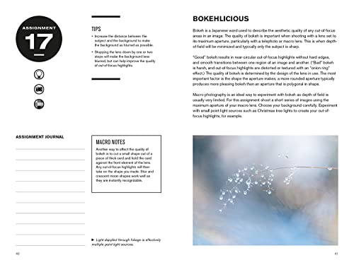 52 Assignments: Macro Photography - Image 6