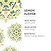 MAISON BERGER Lampe Berger Fragrance Trio Refill for Home Fragrance Oil Diffuser - Air Freshener - 3 x 8.45 Fluid Ounces - 3x250 milliliters (Trio Fresh)