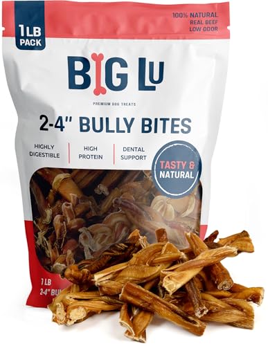 Big Lu - 2-4 Bully and Braided Bites Variety Bag - 1 lb of 100% Grass-Fed Beef Chews for All Dogs Natural Fully Digestible Long-Lasting Treats
