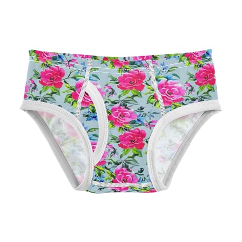 Pink Flowers Toddler Boy's Underwear 2T 202c1619