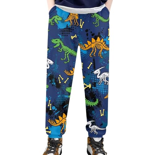 Renewold Boys Girls Sweatpant Kids Teens Active Performance Pants Novelty Dinosaur Pattern Athletic Jogger Sweatpants with Pocket Casual Party Daily Bottoms 8-9 Years