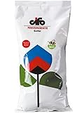 CIFO